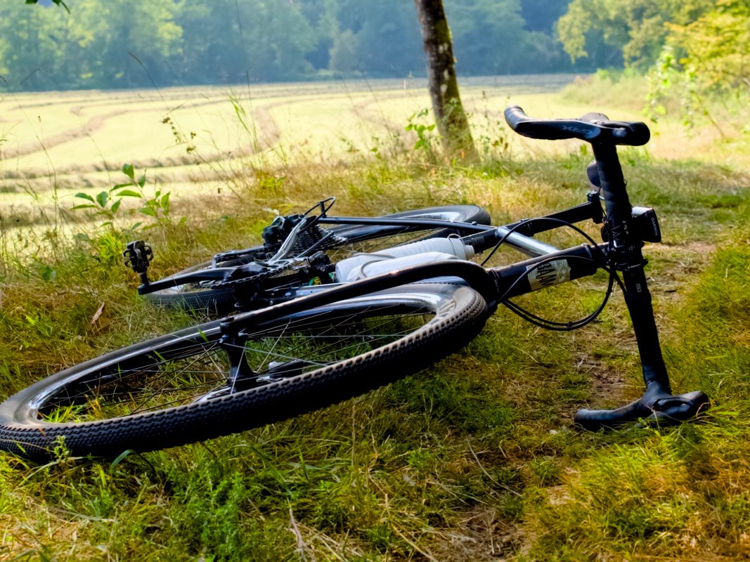 Gravel à moins de 1000 euros sur un chemin forestier, idéal pour découvrir le bikepacking et rouler sur tous types de terrains
