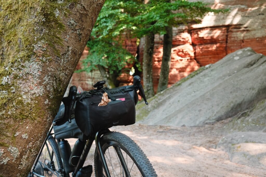 Pneu Continental Race King sur terrain engagé montrant sa solidité en gravel et bikepacking