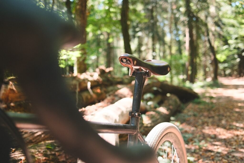 Tige de selle carbone Ergon CF Allroad sur un gravel acier au bord d'un chemin forestier dans les Vosges
