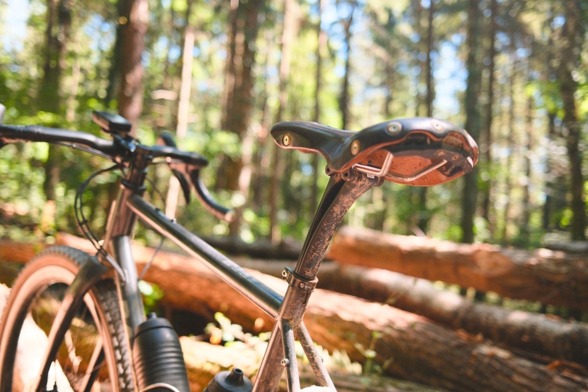 Tige de selle carbone Ergon CF Allroad sur un gravel acier avec selle en cuir, en forêt