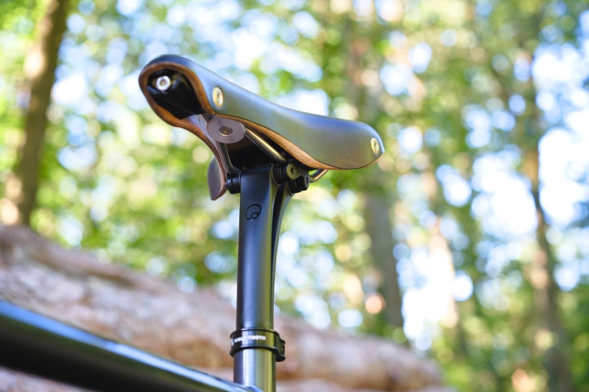 Tête de tige de selle carbone Ergon et collier de selle Wolf Tooth sur un cadre gravel en forêt