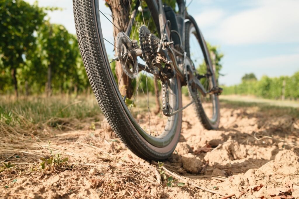 Roue arrière avec pneu Hutchinson Touareg sur un chemin de terre en vigne