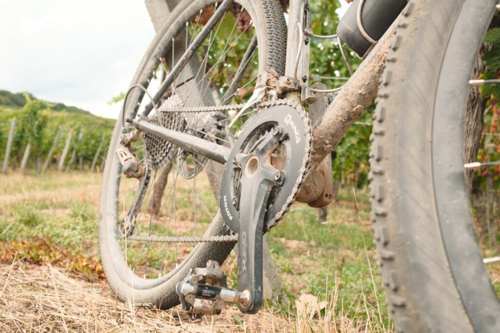 Gravel équipé d'un plateau ovale Rotor Q-Rings sur pédalier GRX, posé contre un piquet de vigne en Alsace
