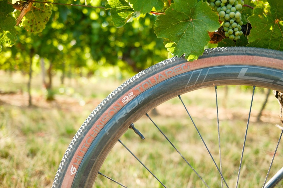 Pneu Hutchinson Touareg monté sur une roue gravel, au milieu des vignes